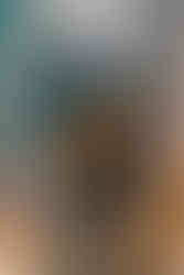 The Brook & The Bluff | by Erin Carley for Zany Waves