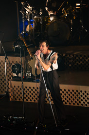 The Maine | by Reagan Austin for Zany Waves