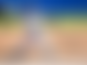 Shark Spotlight: LIU Softball Pitcher Kira Buckner