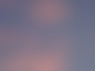 インスタグラムに動画を投稿しました