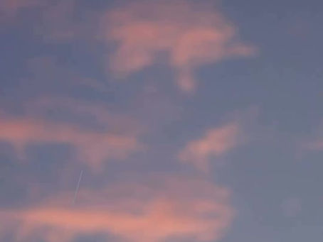 インスタグラムに動画を投稿しました