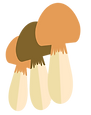 松茸の旅館用 (1)_edited.png