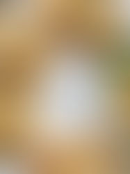 מאפה תרד וגבינות בסגנון רולדין