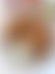 סמבוסק בשר מטריף או מיני לחמג’ון