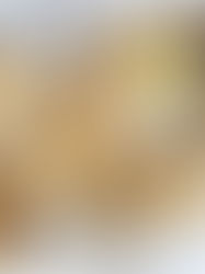 לחמניות פרא מבצק ללא לישה