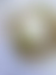 מג׳דרה עם עדשים