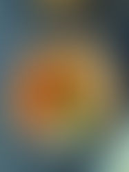 שניצל אפוי בשיטת אוויר חם (בלי ביצה!)