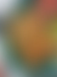 סיגרים נדירים במילוי טופו