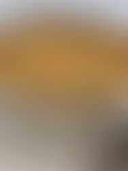 צ'יפס ופרגית קומפלט - מנה הצגה!