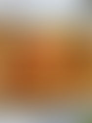 גאלט בשר כפרי עם עגבניות או בורקס בשר פתוח - הכי יפה שתכינו!