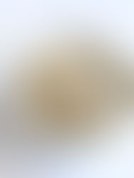 תערובת קסם מקפיצה Everything Bagel