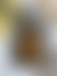 סטייק סינטה במרינדה סודית