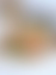 סלט גריסים איטלקי שוס