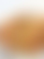 חלת תאנים וערמונים בדבש 