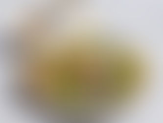 סלט סביצ'ה נדיר!