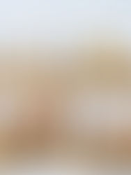 מגולגלות פרווה במילוי בראוניז שוקולד