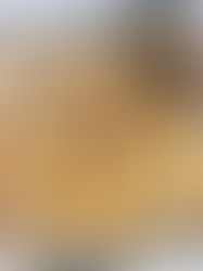 סמבוסק פיצה של אבולעפיה