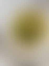 טאבולה גריסים