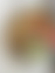 מג'דרה פטנט בתבנית אחת בתנור!