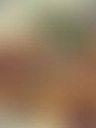 ניוקי מוקפץ עם ירקות