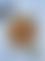 חצילים בסלסת עגבניות