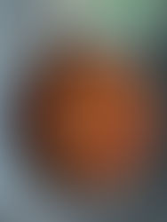 קונכיות פסטה ממולאות בבשר