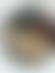 בורקס דפי אורז במילוי אסיאתי