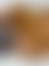 המדריך להכנת שווארמה של הלייף! שווארמה בתבנית עם תערובות התבלינים שלי!