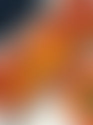 רולדת לזניה פטנט - בלי להתבלבל!