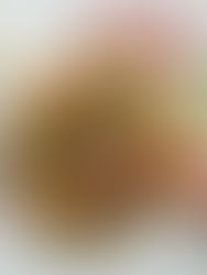 המדריך להכנת פיצה ביתית מנצחת!