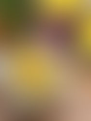 עוגת תפוזים בקוצץ חשמלי!