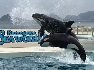 2018-05-18_15-14-25_605.jpeg