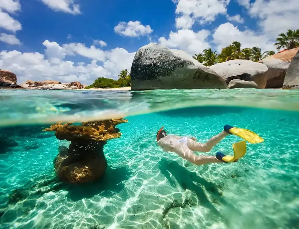 Snorkeling-in-BVI-resize.webp