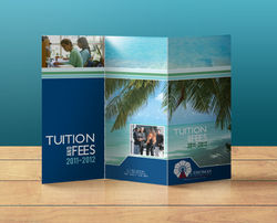 St. Thomas University Brochure