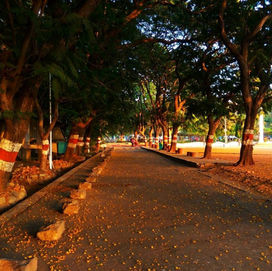 Boulevard
