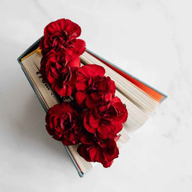 Love Is A Placebo Effect