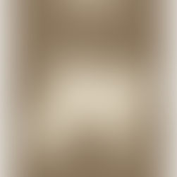 Baaghi Sarhadein