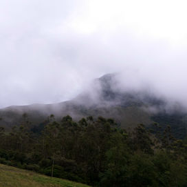 Happiness and Pretty Skies