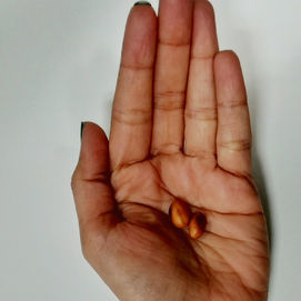 Peanuts