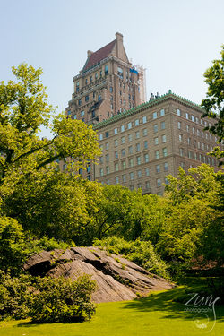 Central Park, NYC