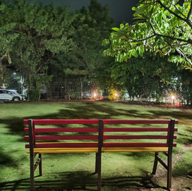 Peaceful Bench Moments