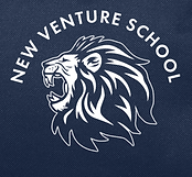 IS219 Logo