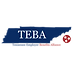 TEBA logo FINAL (1).png