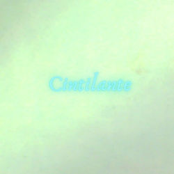 Cópia de Cintilante.jpg