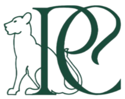 RUACH_CREATIVES_FINAL_MAIN_LOGO_ONLY-removebg_edited.png