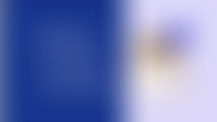 Velo で何ができるのか?