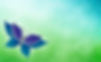 ChatGPT Image Aug 14, 2025, 07_49_00 PM_edited.jpg