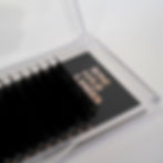 Rose Gold Lashes