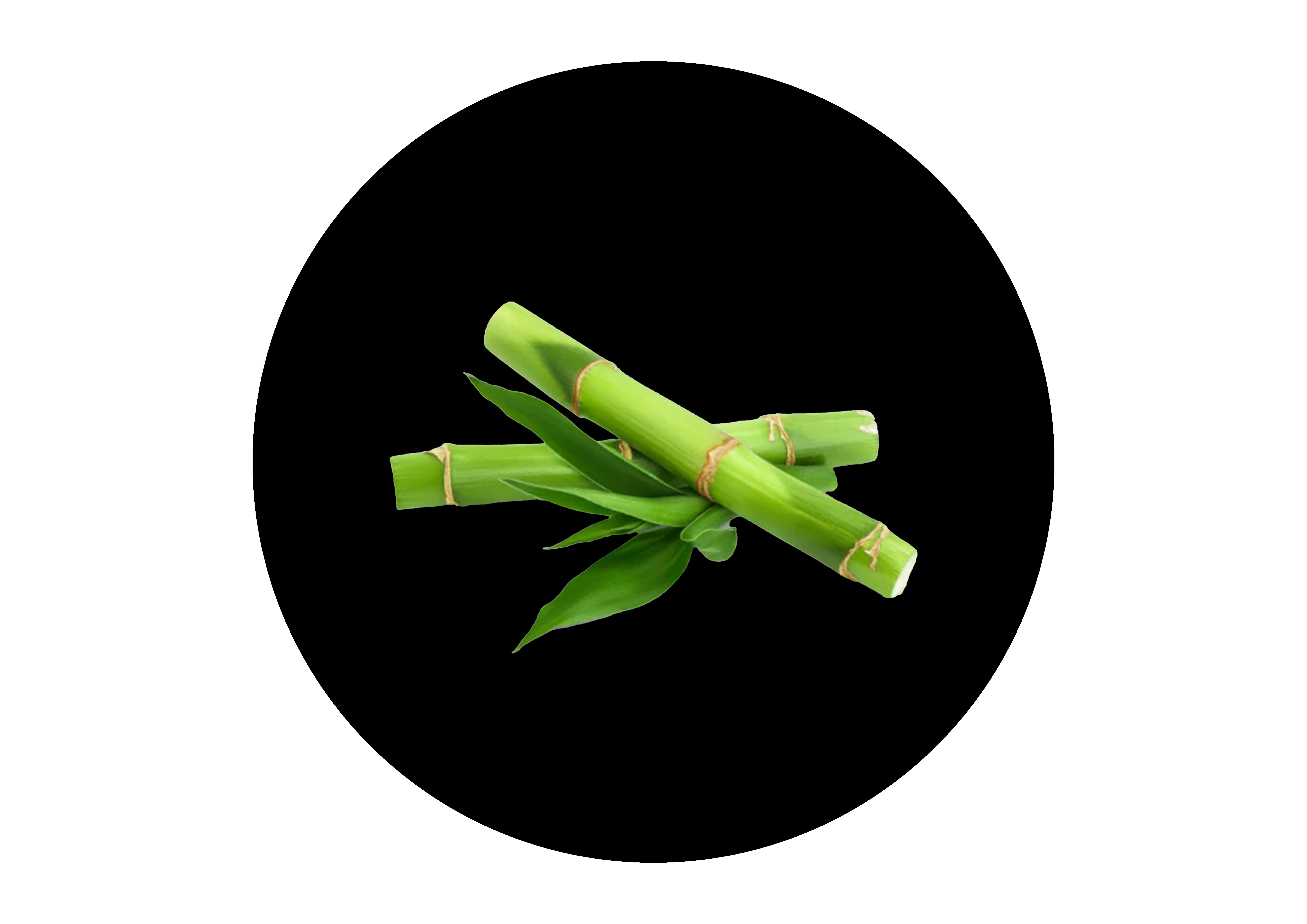 Bamboo Silica Extract