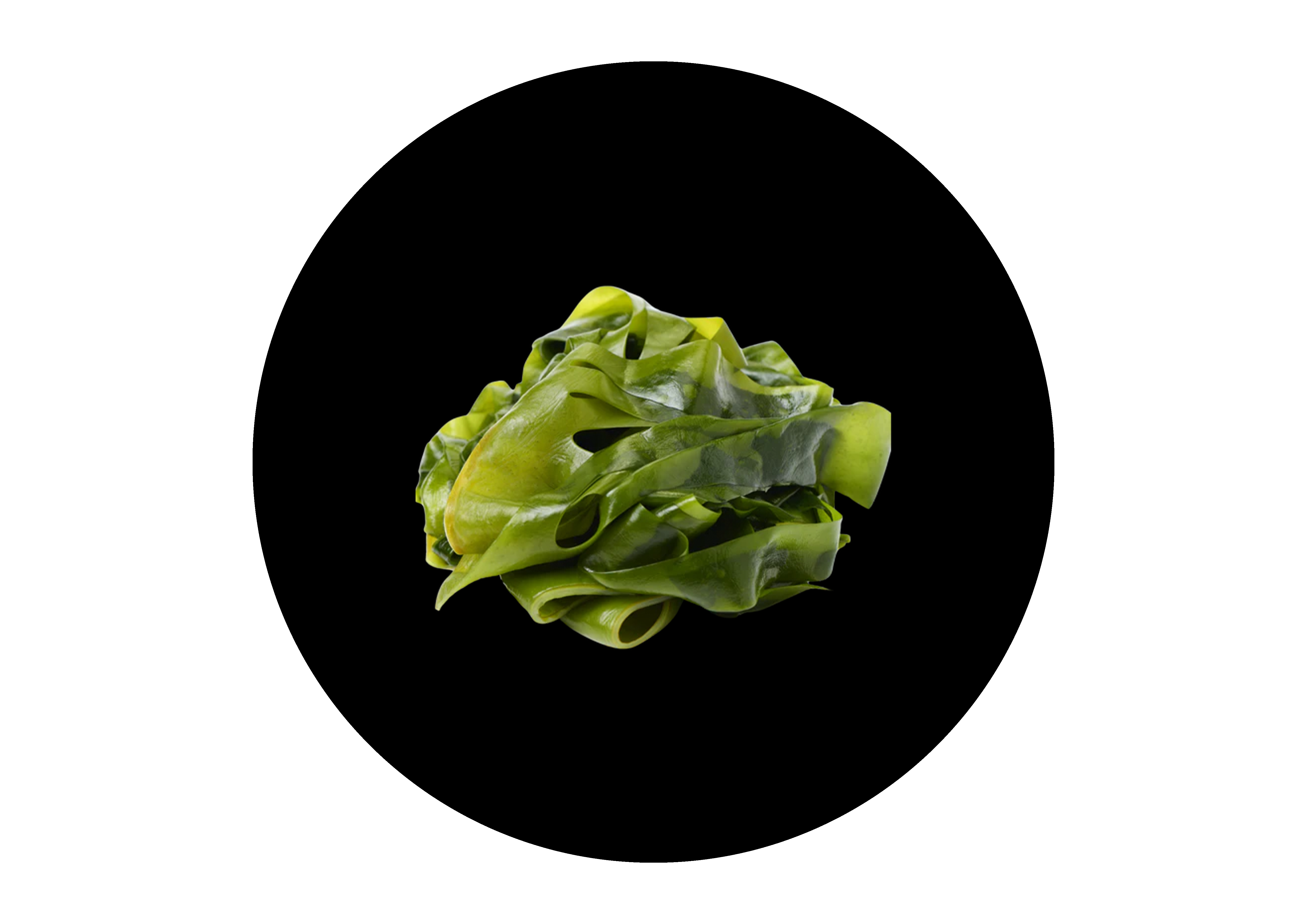 Kelp Extract (Iodine)
